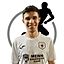 Luis Guilherme Drees Rodrigues