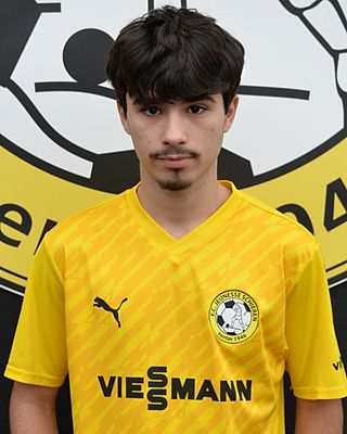 Gabriel Ribeiro Alves