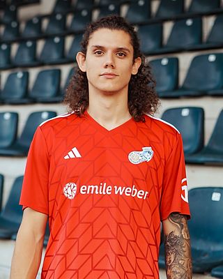 Miguel De Lemos Morais