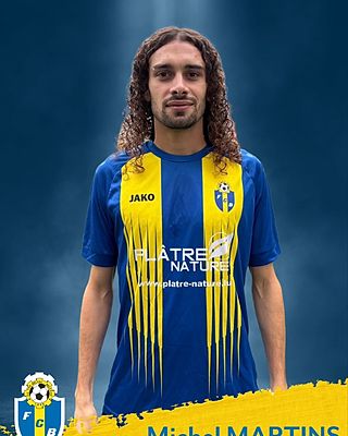 Michel Martins De Jesus