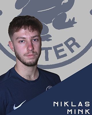 Niklas Mink
