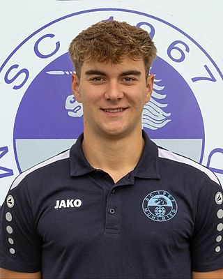 David Spielberger