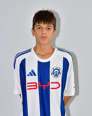 Ylli Ahmetaj