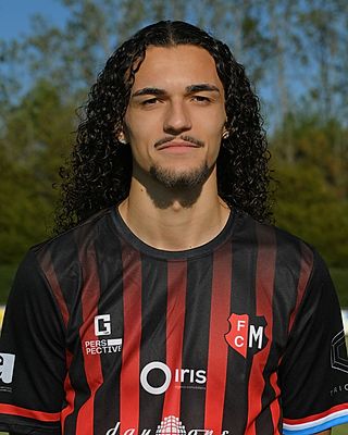 Rui COSTA DE SOUSA