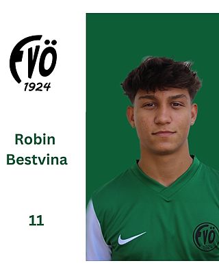 Robin Bestvina