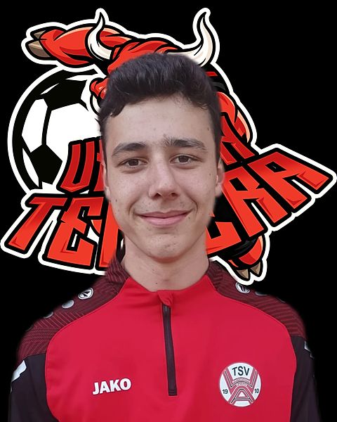 Foto: Niklas van Stiphoudt