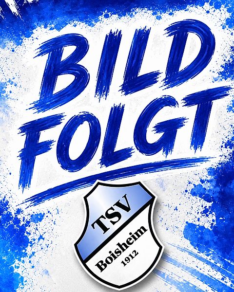 Foto: TSV