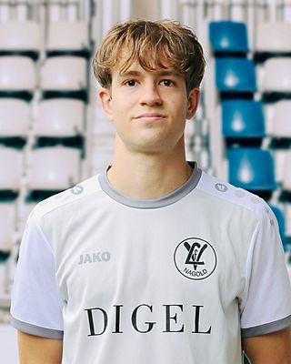 Iustin-Cezar Folea