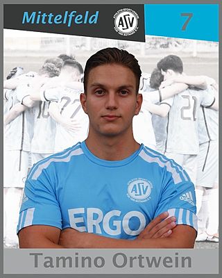 Tamino Ortwein