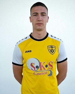 Dimitrije Cvetkovic