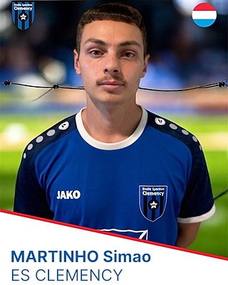 Simao Martinho Da Silva
