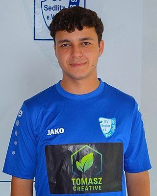 Mohamad Reda Altllawi