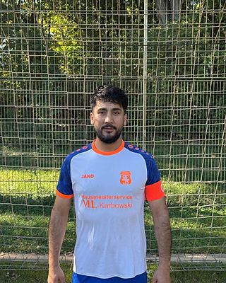 Sayed Hamed Hassani
