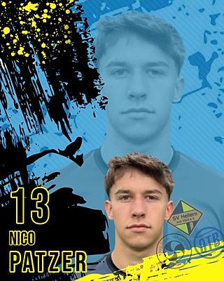 Nico Patzer
