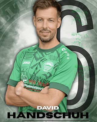 David Handschuh