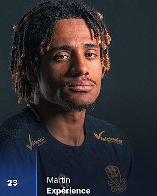 Martin Expérience