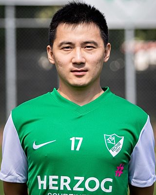 Jinglun Wang
