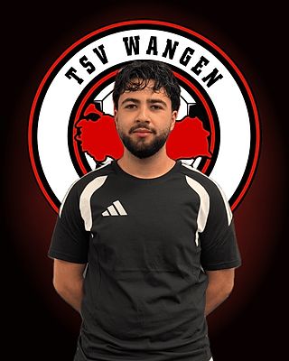 Alper Yerlikaya