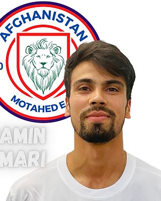 Mohammed Ramin Omari
