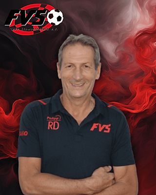 Raphael Domeneghetti