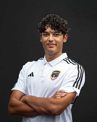 Alessandro Tallarico Alves