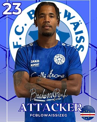 Bruno Fernandes Teixeira