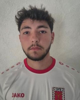 Darian-Ovidiu Ivan