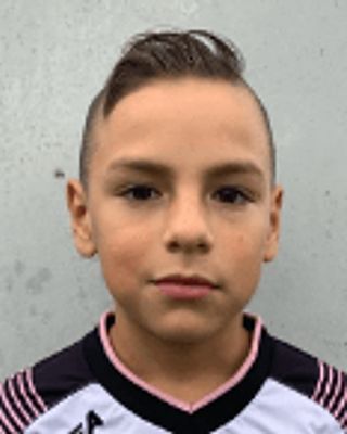 Ludwig Natha Wolmershäuser