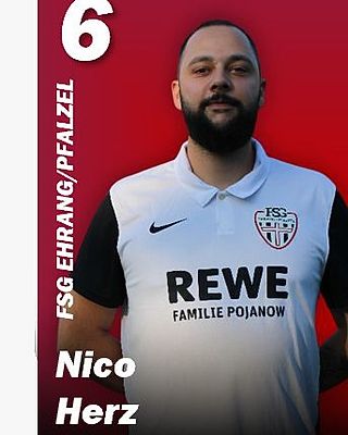 Nico Herz