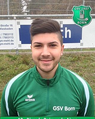 Ricardo Raimundo Aires