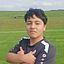 Raul Allpo Araujo