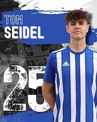 Tom Seidel