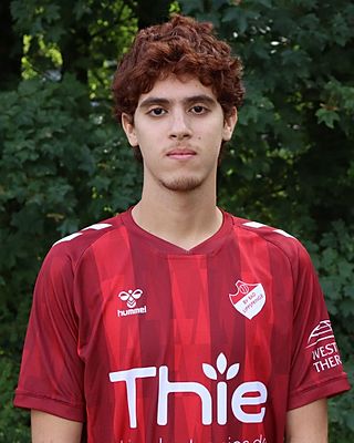 Ismael Amara