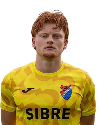 Luis Karl