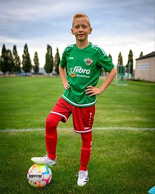 Niklas Apel