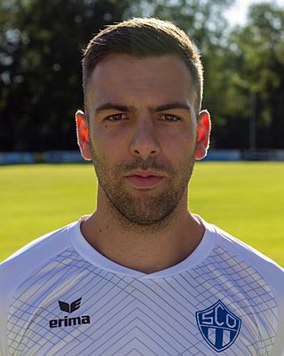 Luka Batarilo-Cerdic