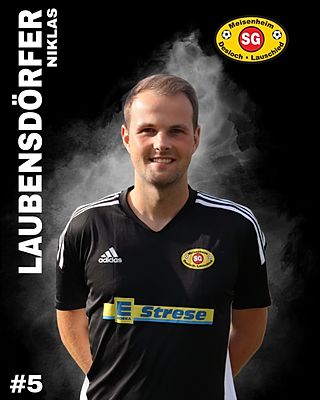 Niklas Laubensdörfer