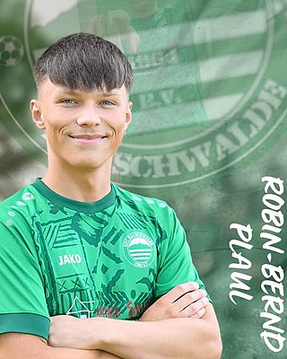 Robin-Bernd Plaul