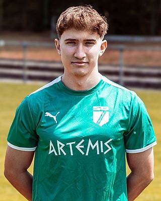 Fabian Weber