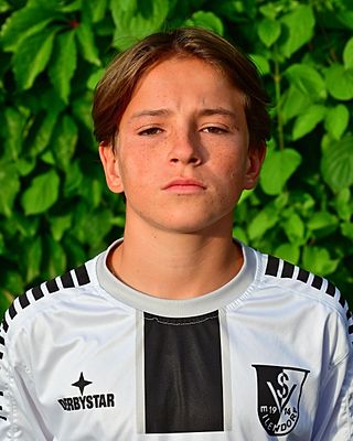 Matteo Valentino Bini