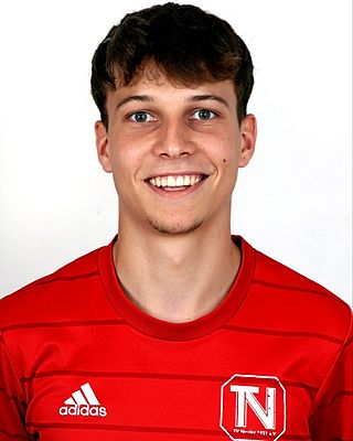 Theo Kraus