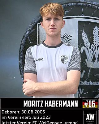 Moritz Habermann
