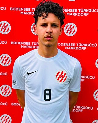 Mustafa Sejmenovic
