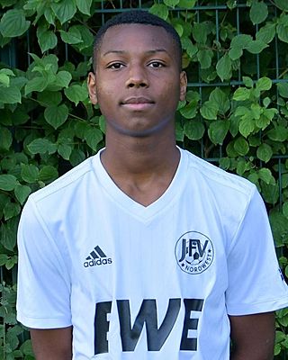 Helmut Komi Apegnowou