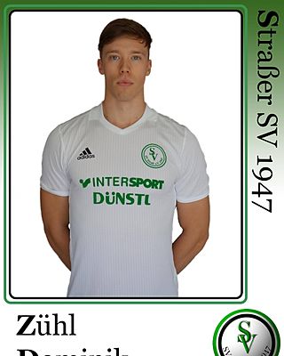 Dominik Zühl