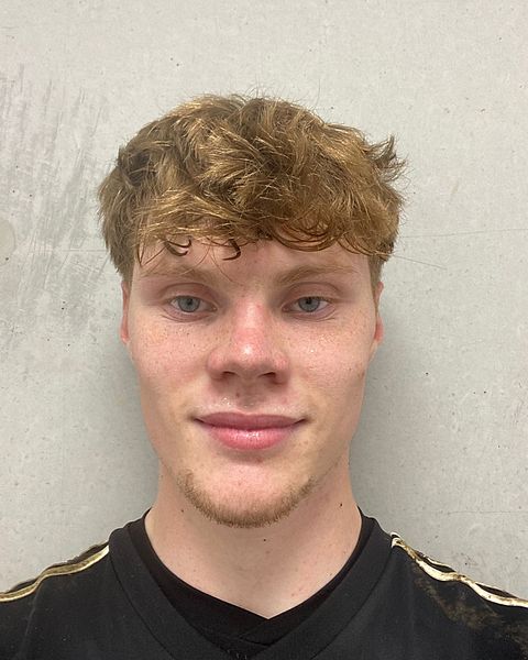 Foto: Dario Palleria