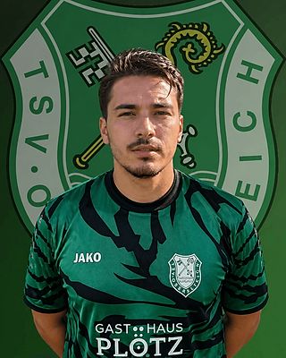 Dino Kuzmanovic