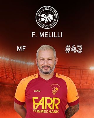 Francesco Melilli