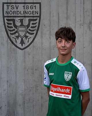 Maximilian Dammer