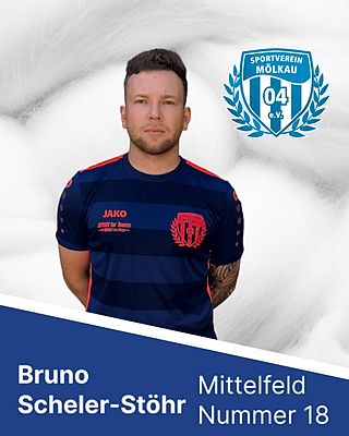 Bruno Scheler-Stöhr